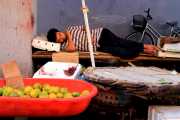 Siesta