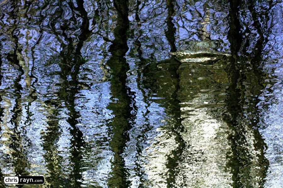 Trees and a Mushroom-shaped Skyscraper Reflecting