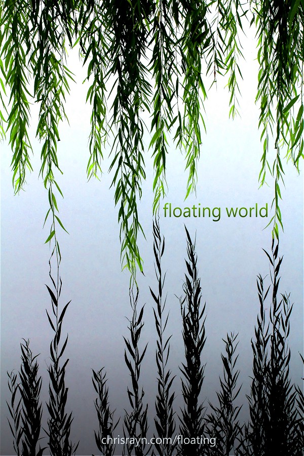 Floating World - Poster Floating World - Poster